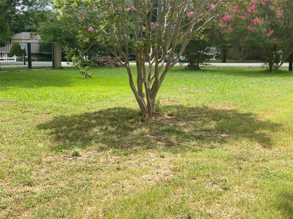 111 Barnes Bridge Road Sunnyvale, TX 75182 - Photo 14 of 17 a view of a trees in front of a house