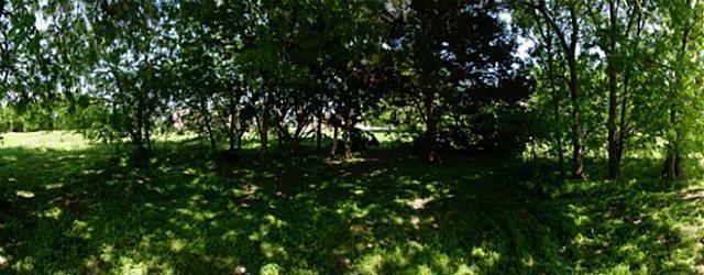 111 Barnes Bridge Road Sunnyvale, TX 75182 - Photo 4 of 17 a view of tree