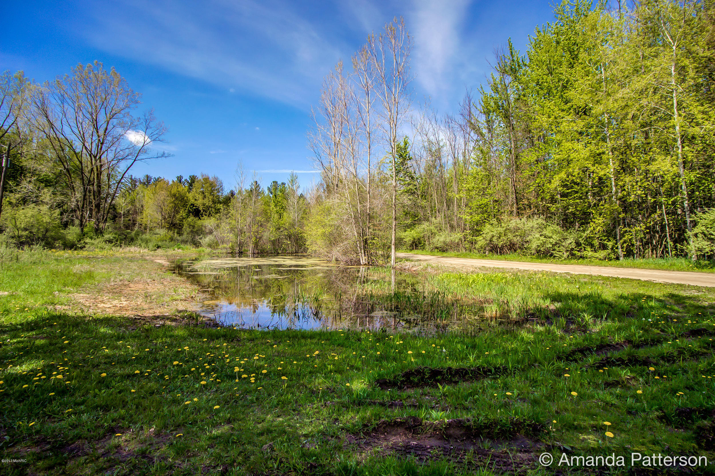 9643 Farr Road Ravenna, MI 49451 - Photo 25 of 29 Front Yard View