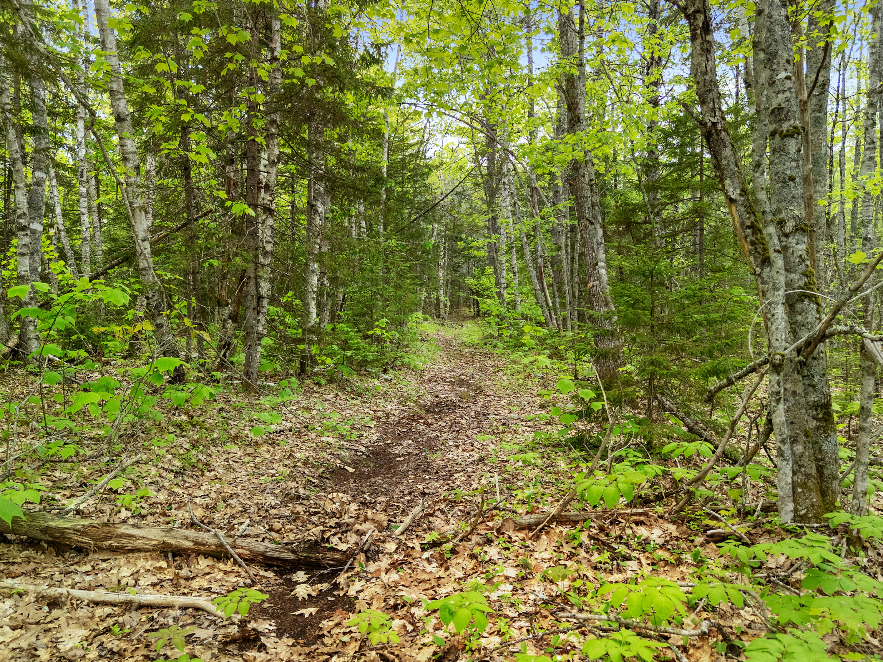 479 Niilo Hill Road Warren, ME 04864 - Photo 50 of 52 DJI_20260527131008_0965_D