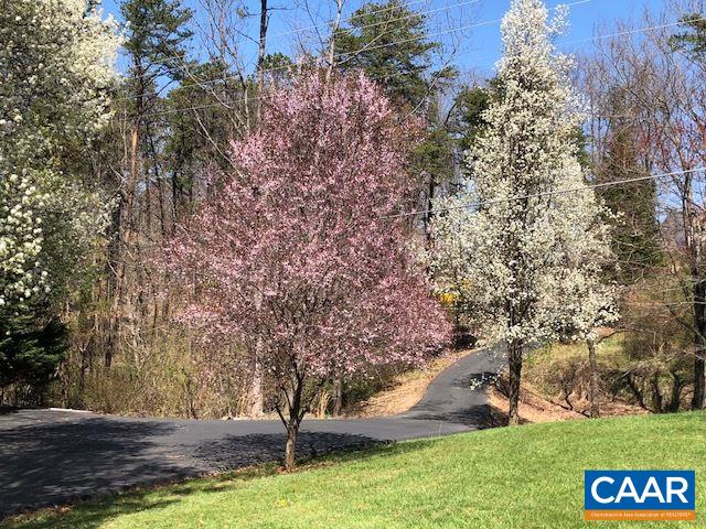 6688 Amicus Road Ruckersville, VA 22968 - Photo 3 of 43 a view of outdoor space