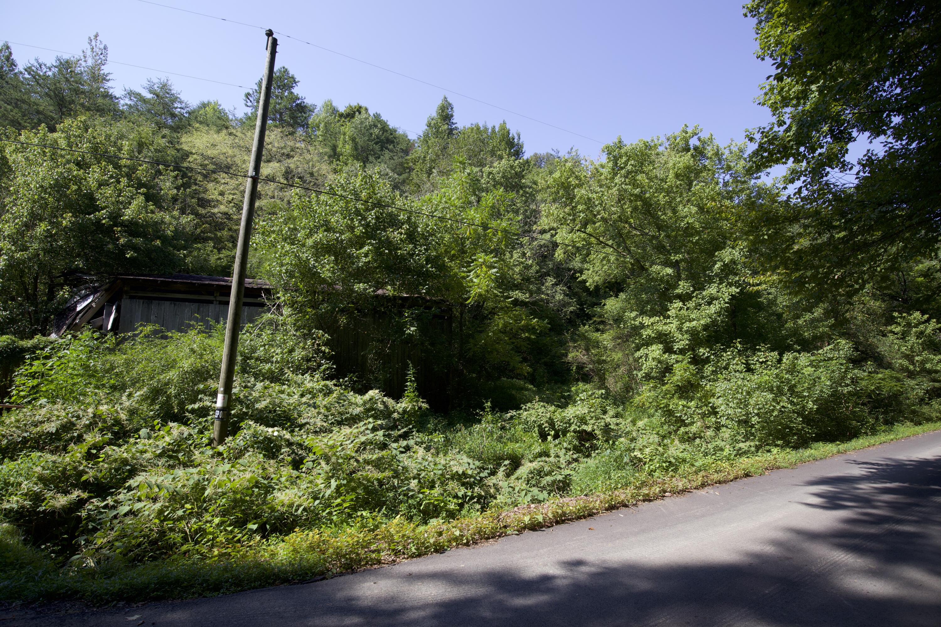 Long Branch Road Seymour, TN 37865 - Photo 1 of 4 IMG_0520 copy