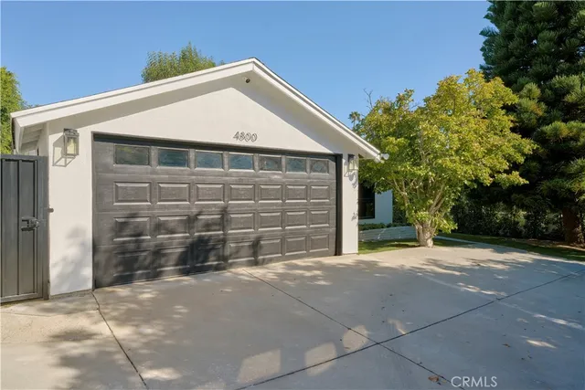 a living room with furniture a fireplace and a potted plant