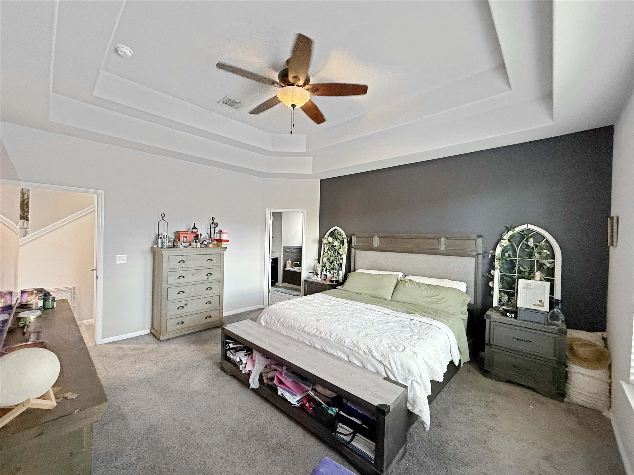 429 Rusk Bluff Avenue Leander, TX 78641 - Photo 8 of 24 An inviting primary bedroom offers a tray ceiling and plush carpet.