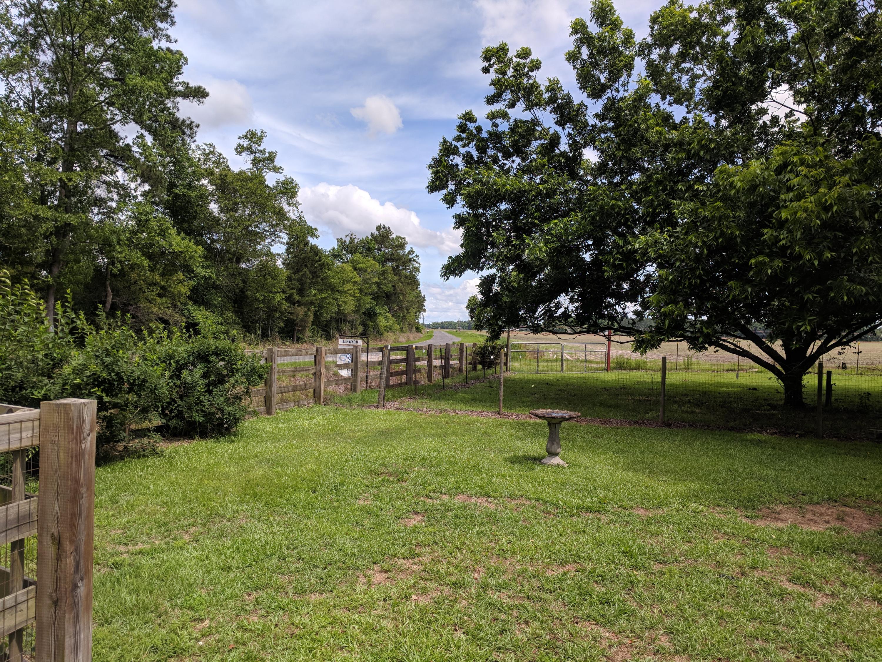 336 State Rd S-9-38 Elloree, SC 29047 - Photo 33 of 44 IMG_20180529_151624