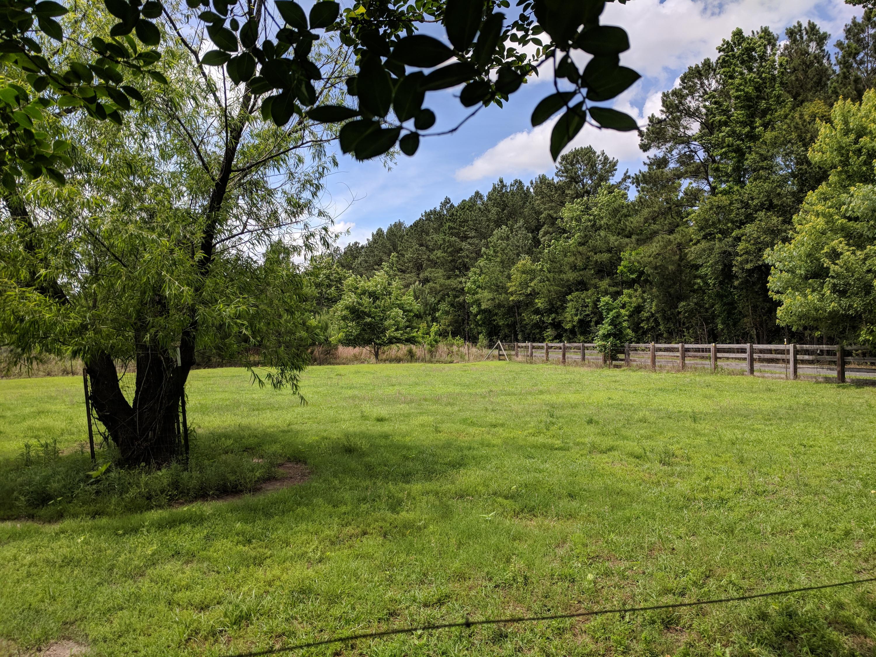 336 State Rd S-9-38 Elloree, SC 29047 - Photo 36 of 44 IMG_20180529_151854