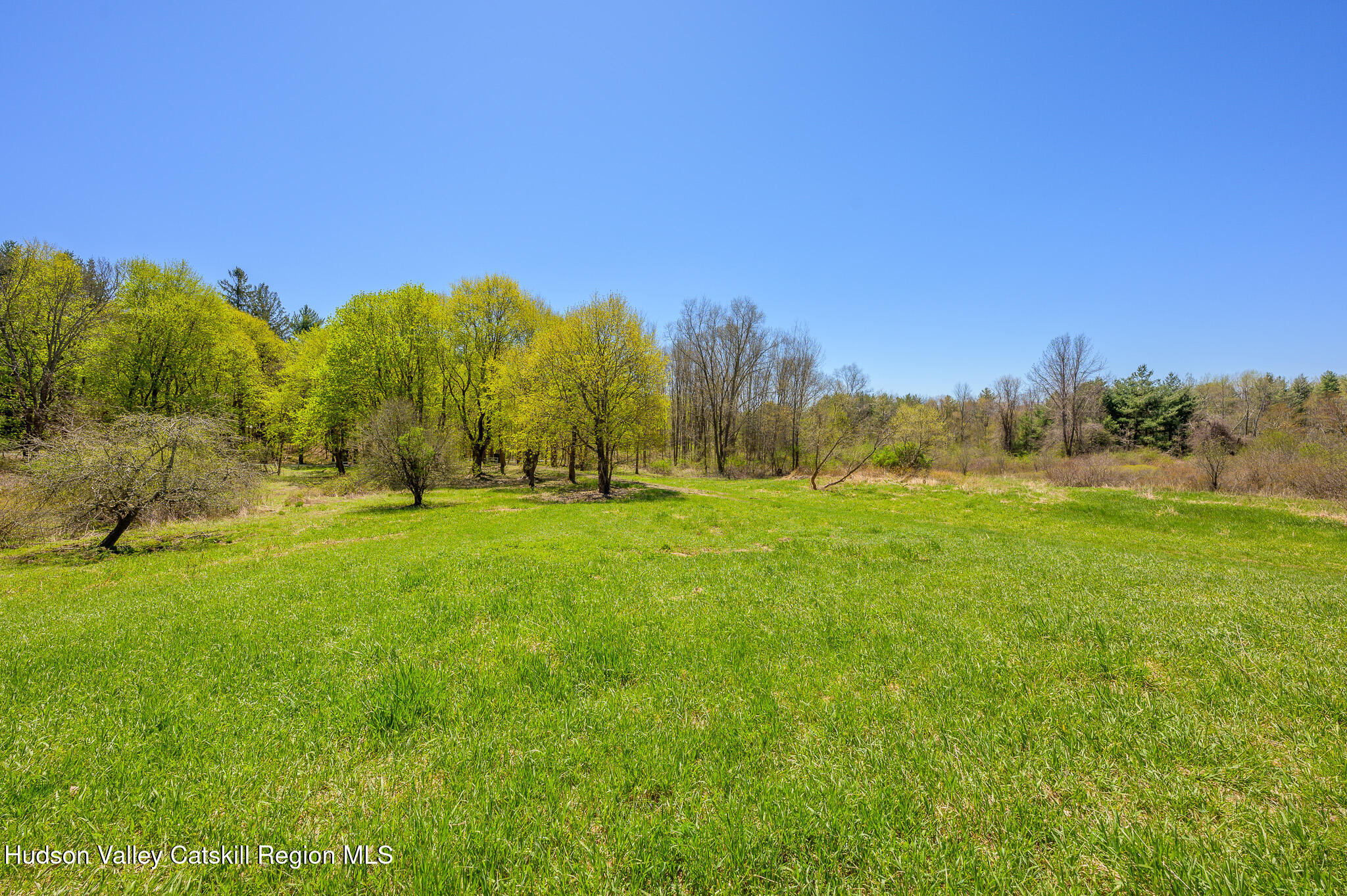 0 Mitchell Street Hillsdale, NY 12529 - Photo 13 of 31 *
