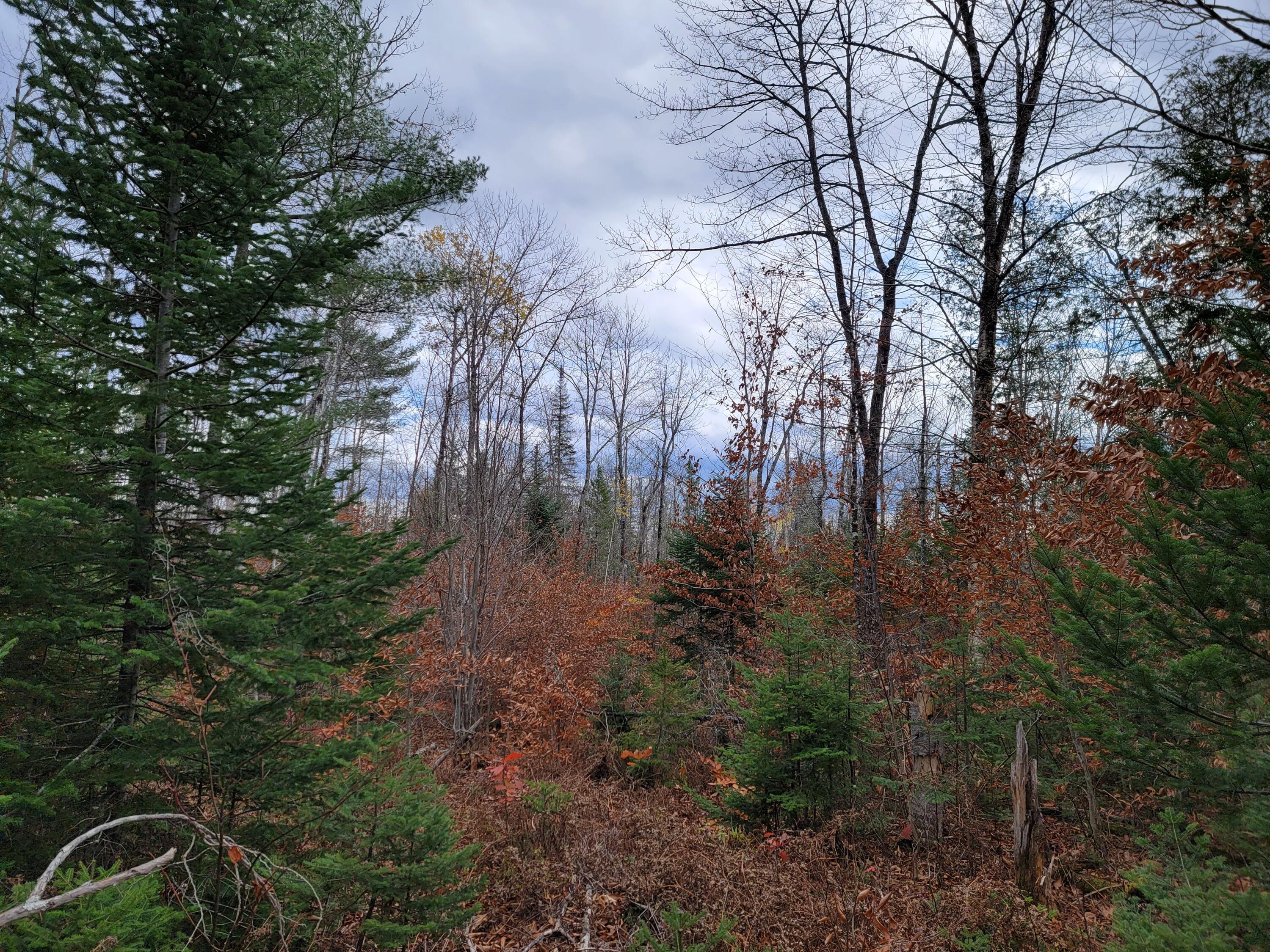 M9-l13 Middle Road New Portland, ME 04961 - Photo 21 of 23 20211102_141835