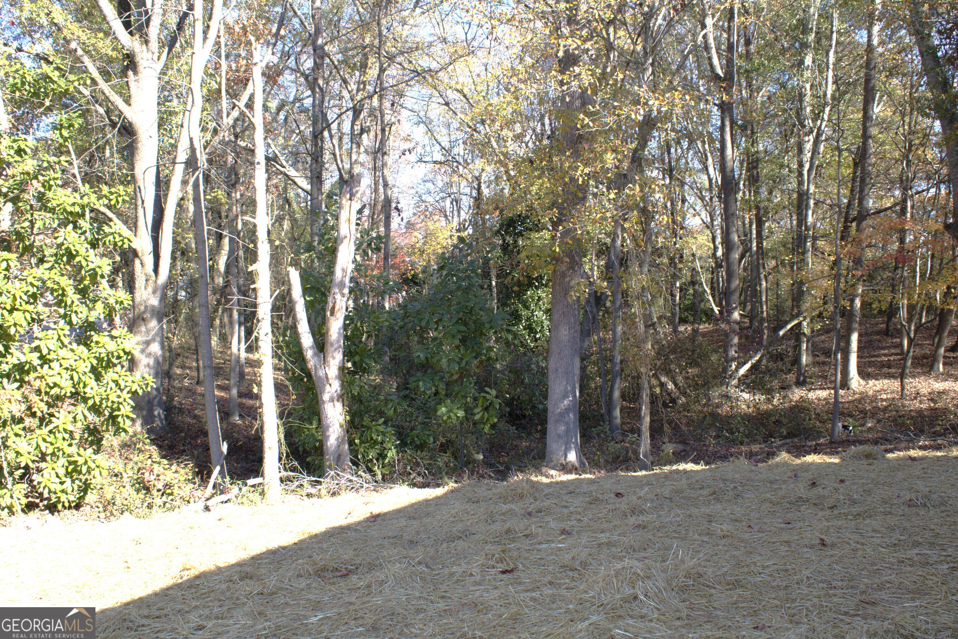 123 Fairview Street Hartwell, GA 30643 - Photo 23 of 23 a backyard of a house with lots of green space