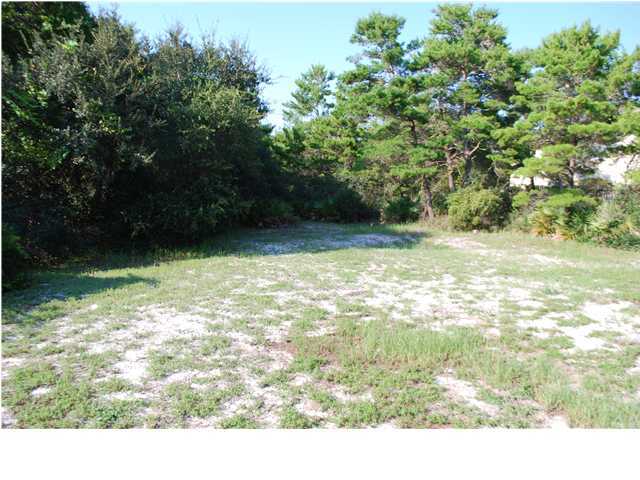 31 Lee Place Santa Rosa Beach, FL 32459 - Photo 3 of 8 a view of a garden