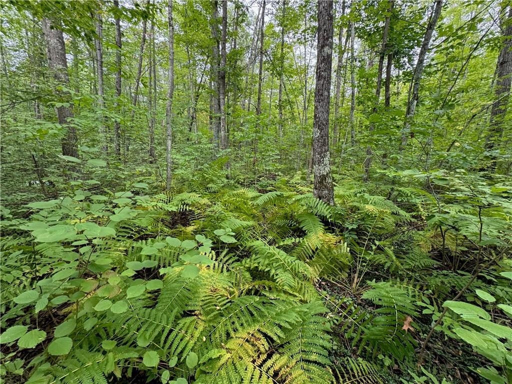 4.7-acres Gurno Lake Road Hayward, WI 54843 - Photo 16 of 25 View of landscape featuring a view of trees