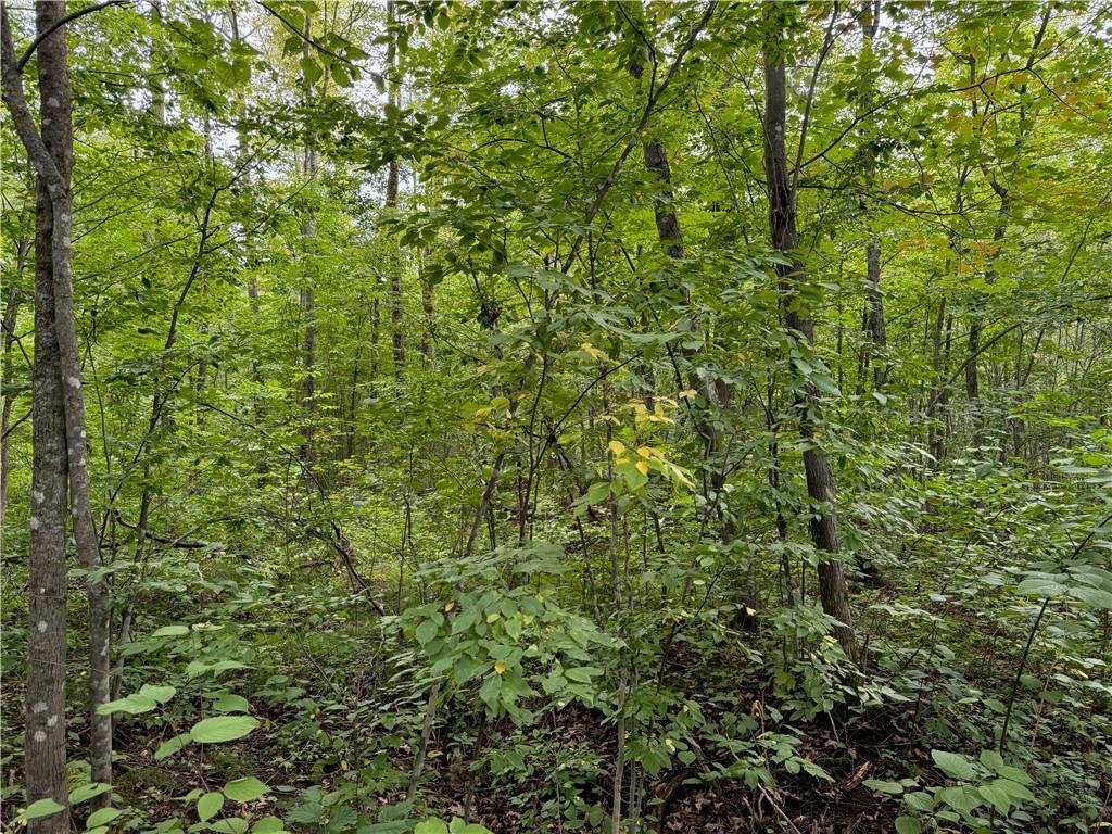 4.7-acres Gurno Lake Road Hayward, WI 54843 - Photo 17 of 25 View of nature featuring a wooded view