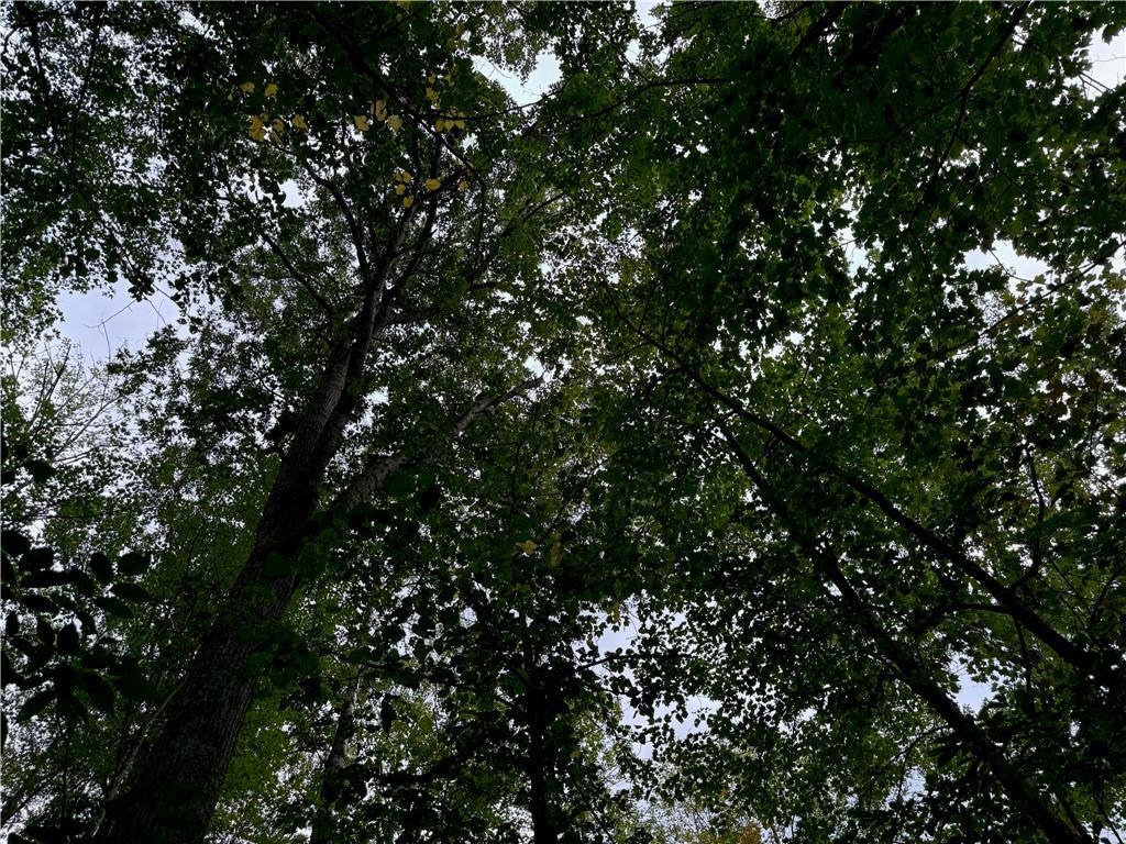 4.7-acres Gurno Lake Road Hayward, WI 54843 - Photo 18 of 25 View of landscape