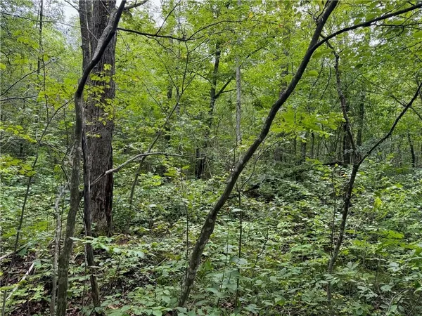 $39,900 | 4.7-acres Gurno Lake Road, Hayward, WI 54843