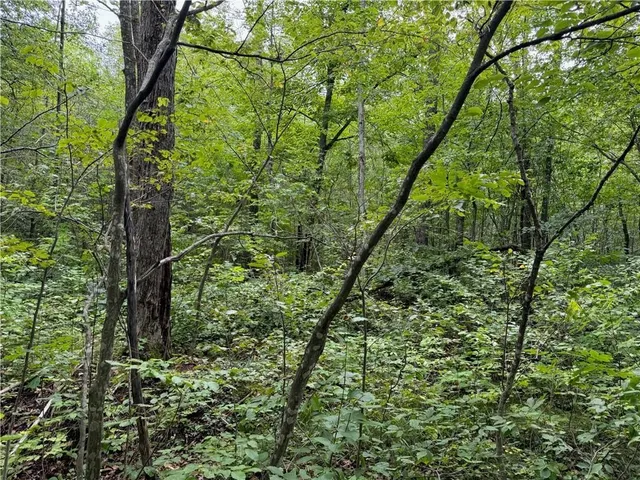 $39,900 | 4.7-acres Gurno Lake Road, Hayward, WI 54843