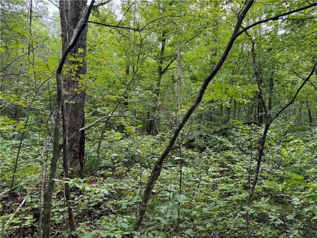 4.7-acres Gurno Lake Road Hayward, WI 54843 - Photo 19 of 25 View of nature featuring a view of trees