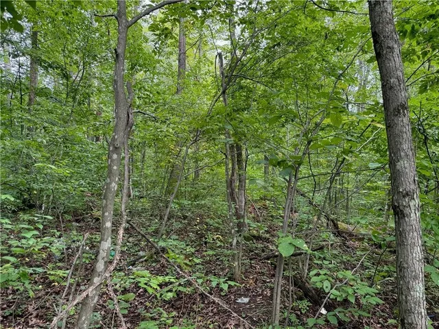 $39,900 | 4.7-acres Gurno Lake Road, Hayward, WI 54843