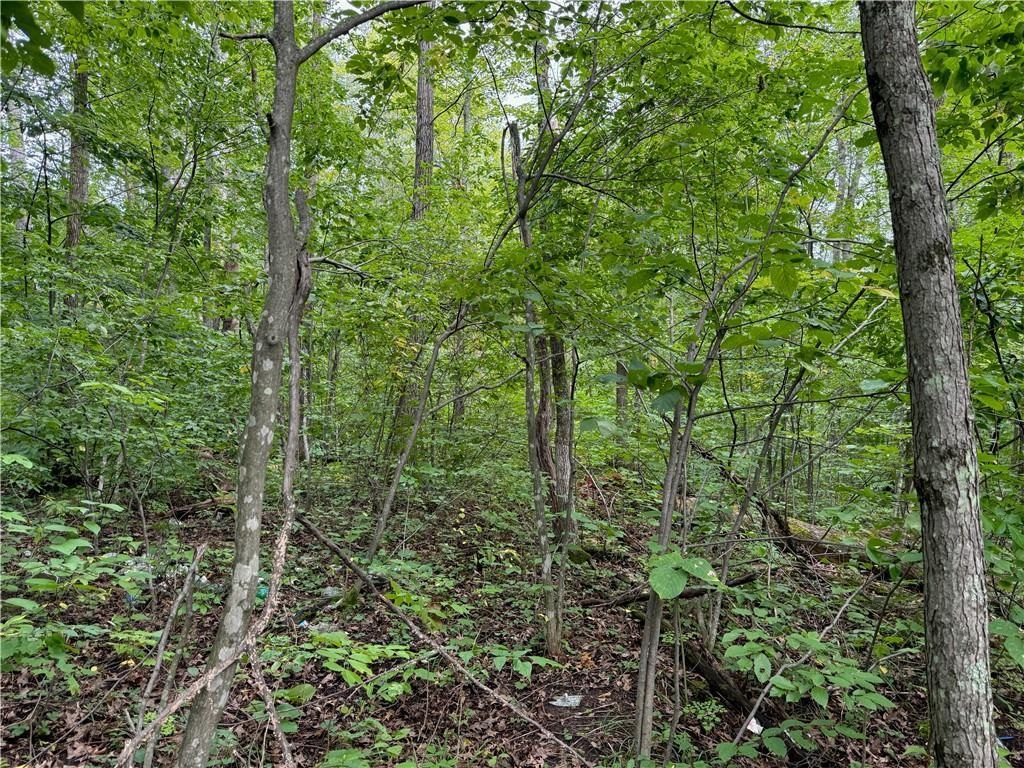 4.7-acres Gurno Lake Road Hayward, WI 54843 - Photo 21 of 25 View of local wilderness featuring a view of trees