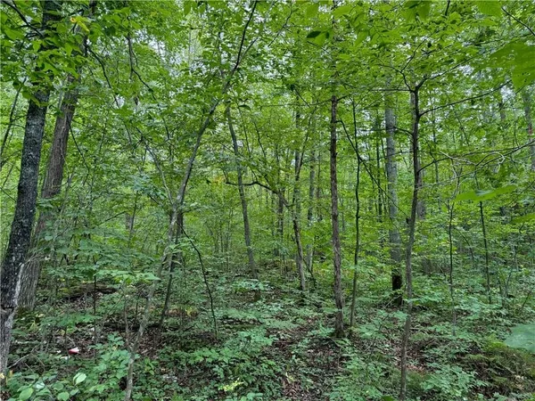 $39,900 | 4.7-acres Gurno Lake Road, Hayward, WI 54843