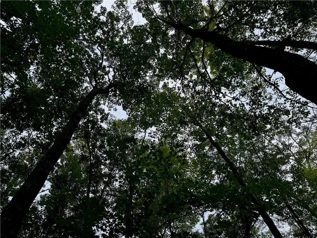 $39,900 | 4.7-acres Gurno Lake Road, Hayward, WI 54843