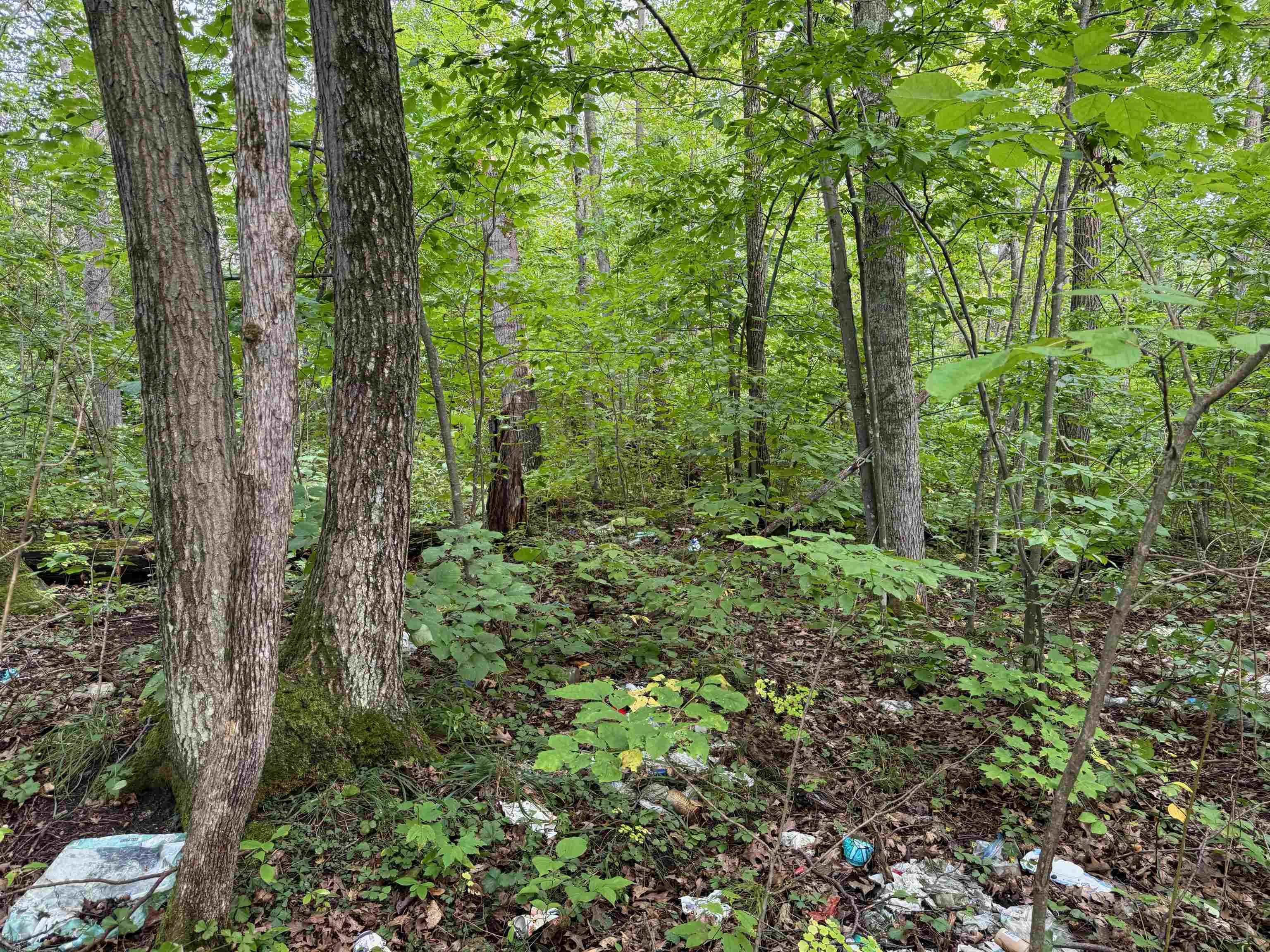 4.7-acres Gurno Lake Road Hayward, WI 54843 - Photo 9 of 25 View of landscape with a forest view