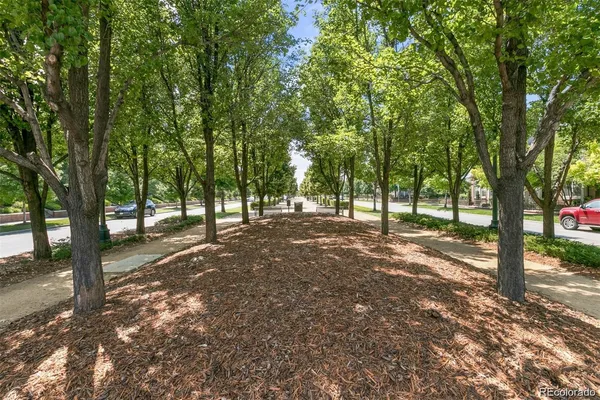 a view of outdoor space with trees