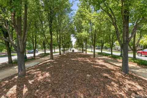 a view of outdoor space with trees
