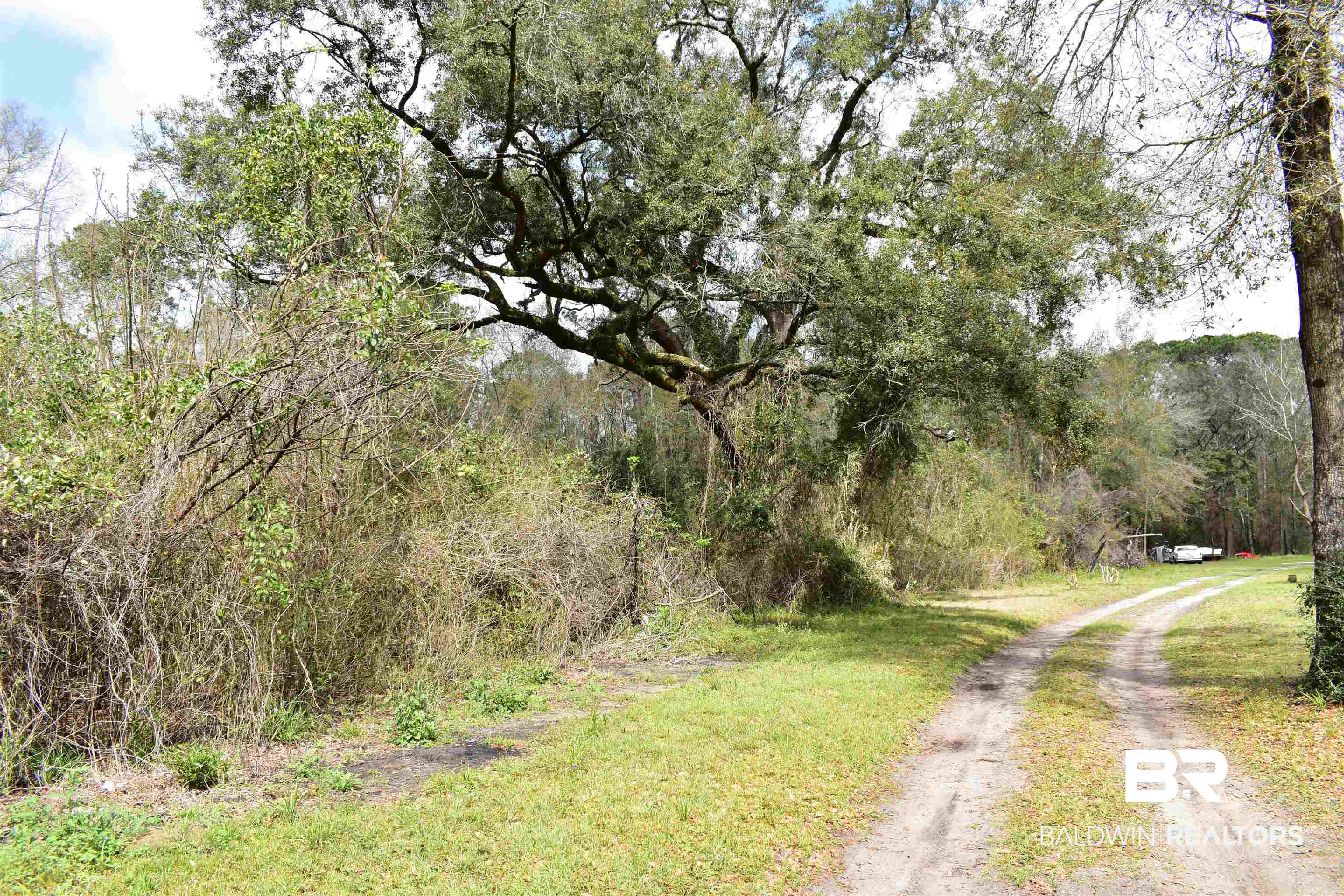 0 Antioch Road Fairhope, AL 36532 - Photo 8 of 21