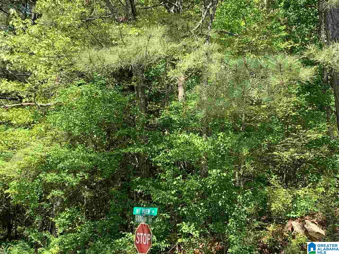 701 Mountain View Road, Unit 1 Talladega, AL 35160 - Photo 3 of 3