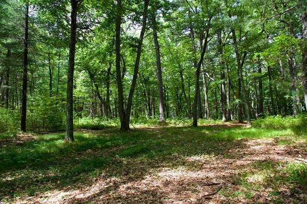35 Huckleberry Hill Road Lincoln, MA 01773 - Photo 7 of 20 Gallery Image 7