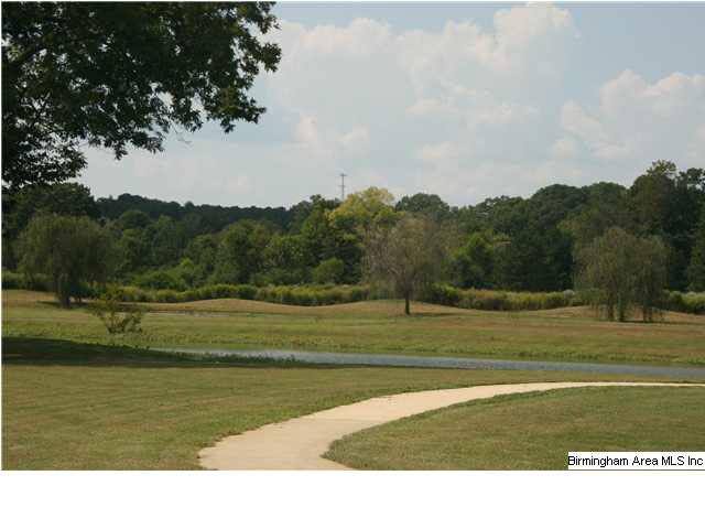 22817 Rimbred Court McCalla, AL 35111 - Photo 10 of 19