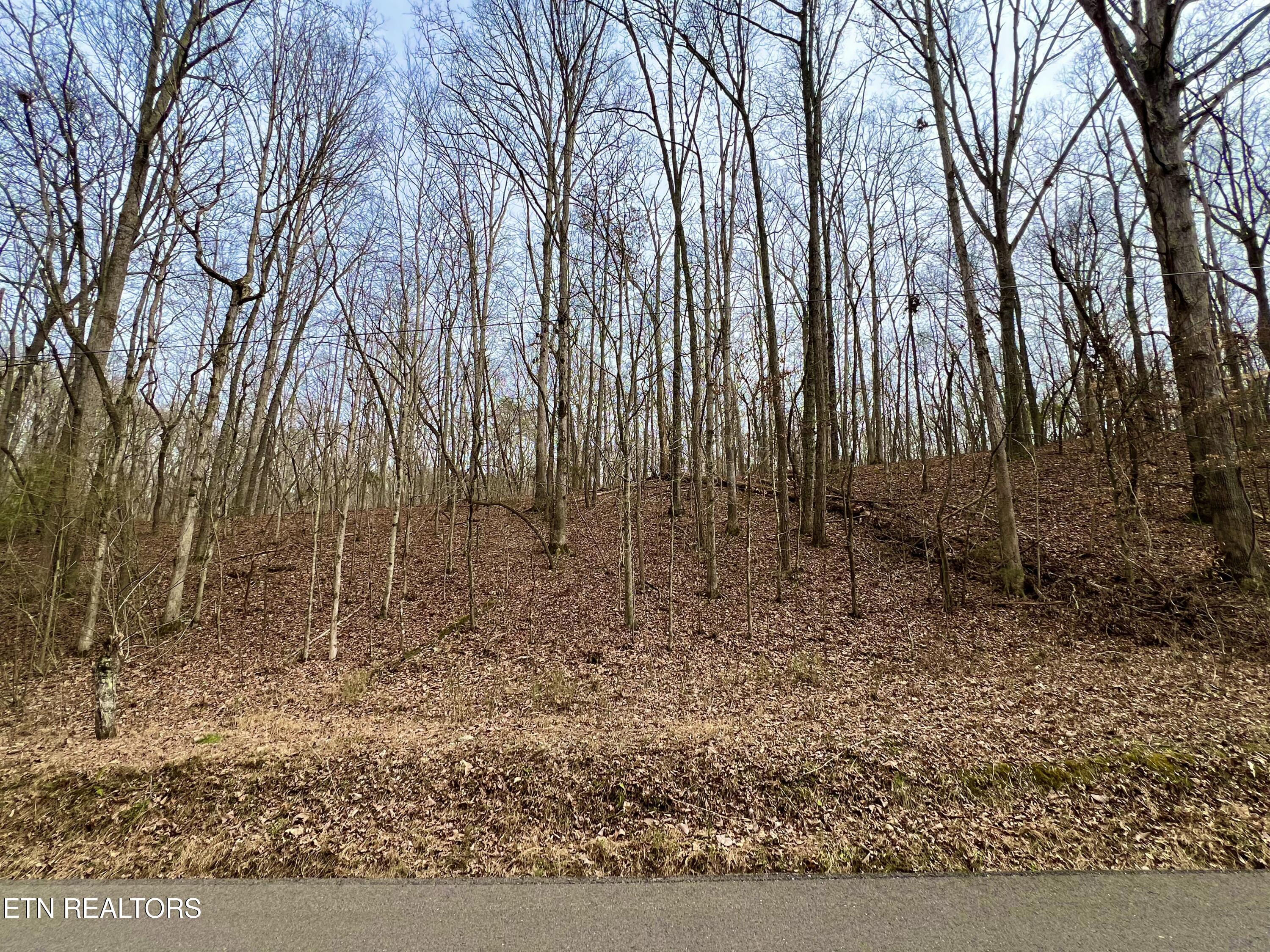 6110 Get Good Hollow Road Loudon, TN 37774 - Photo 1 of 2 6110 Get Good Hollow - PIC