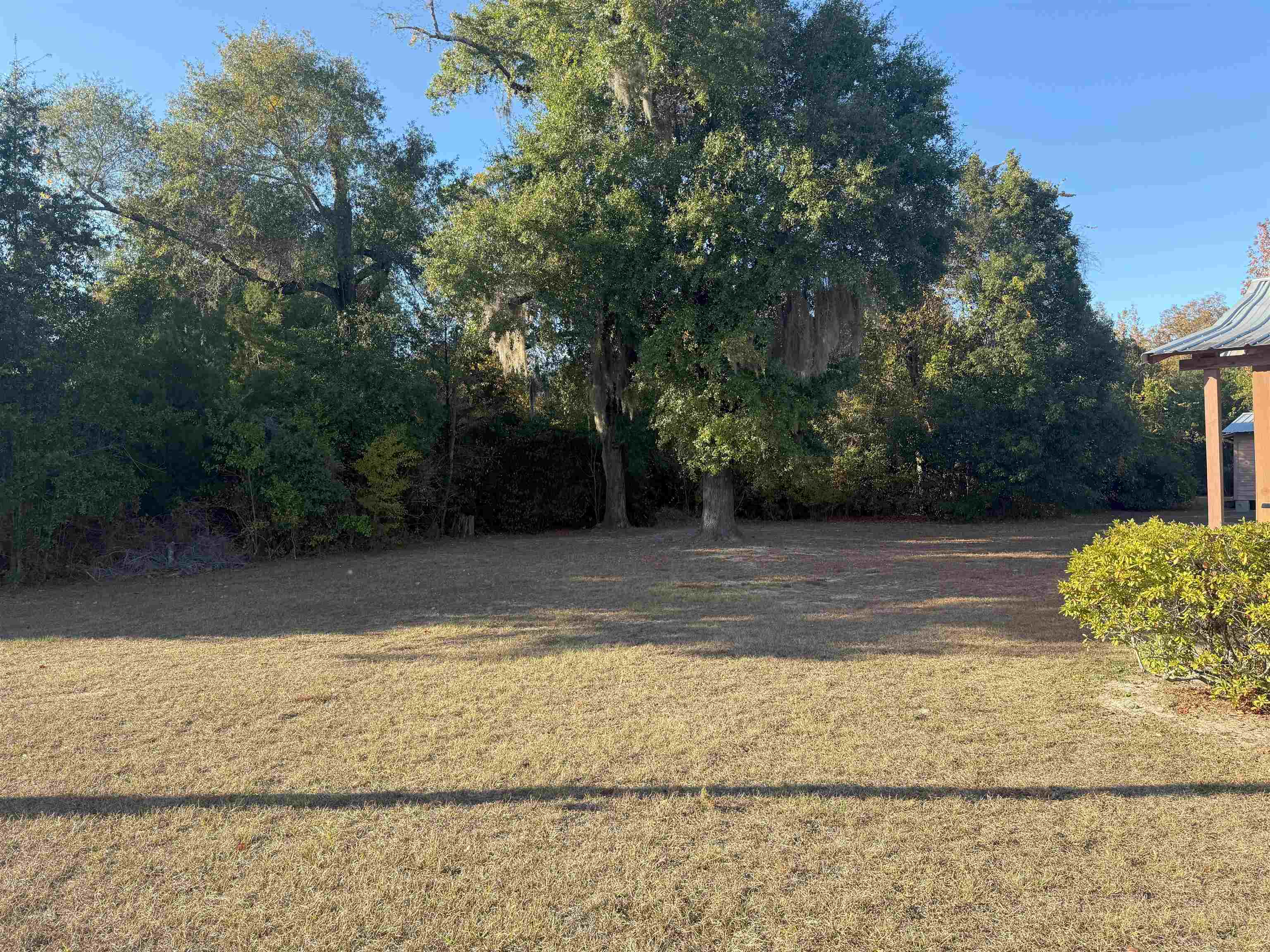 10772 Clay Street Bristol, FL 32321 - Photo 3 of 11