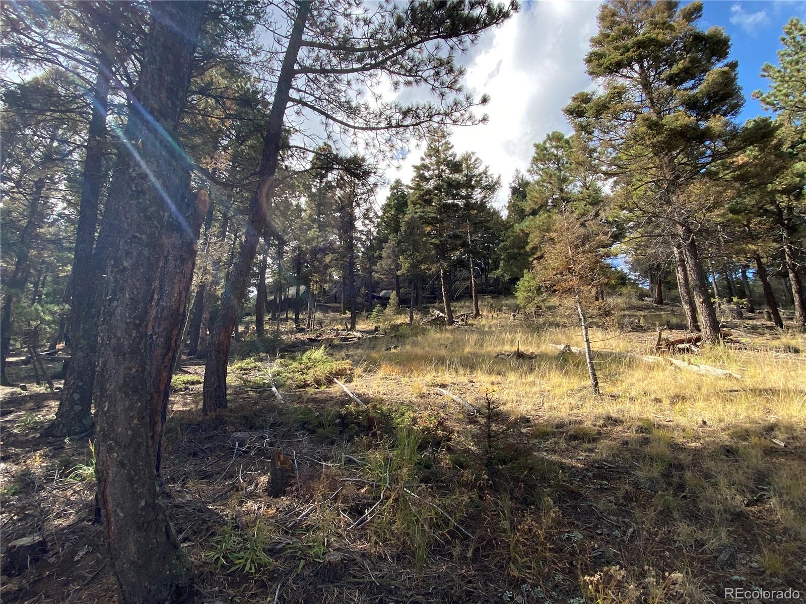 342 Ponderosa Road Manitou Springs, CO 80829 - Photo 13 of 24 a view of yard
