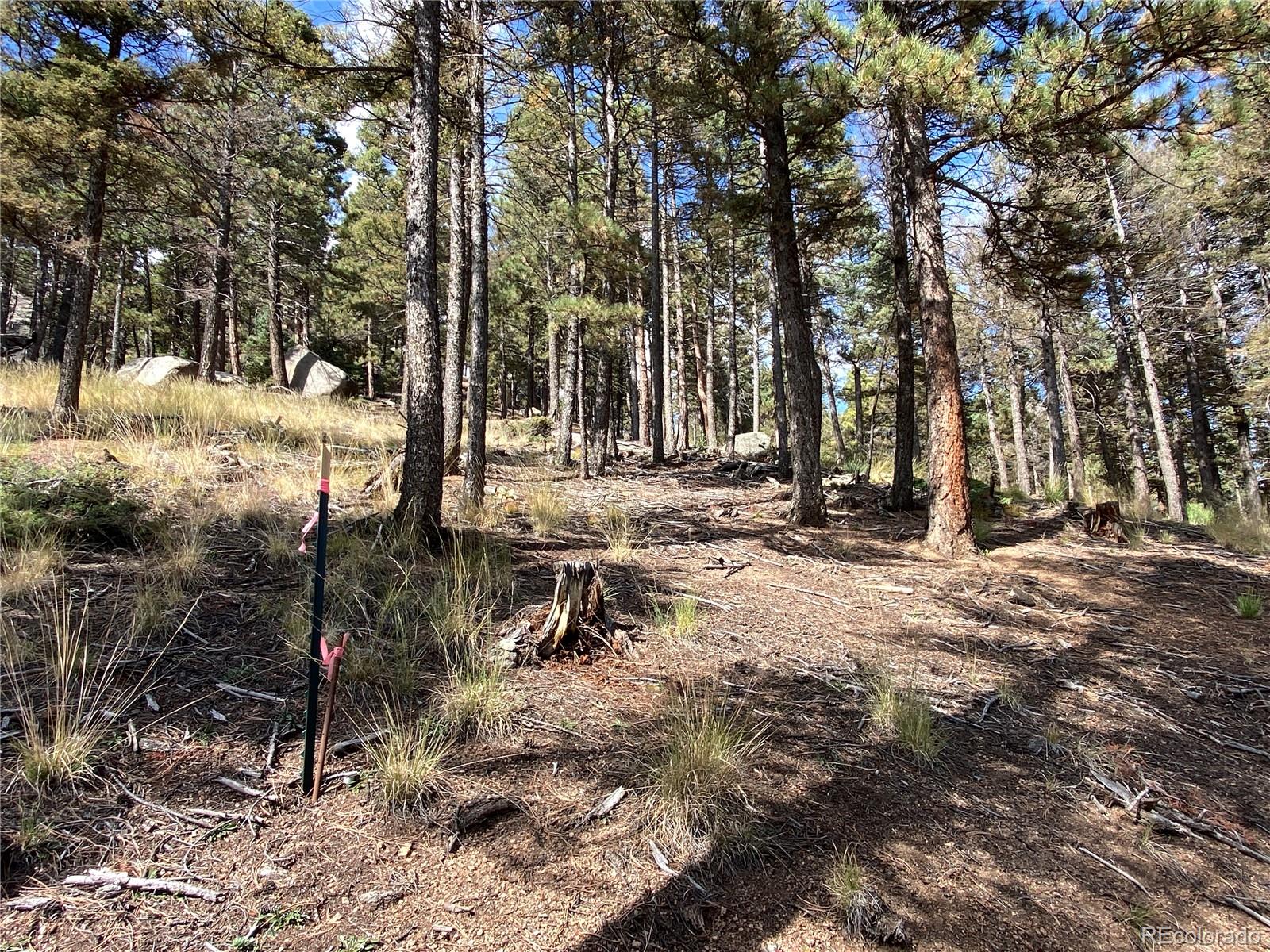 342 Ponderosa Road Manitou Springs, CO 80829 - Photo 14 of 24 a view of outdoor space with sitting area