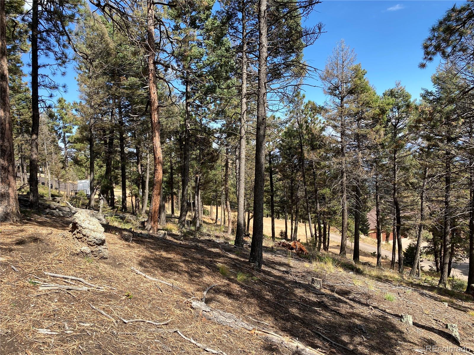 342 Ponderosa Road Manitou Springs, CO 80829 - Photo 16 of 24 a view of outdoor space with trees