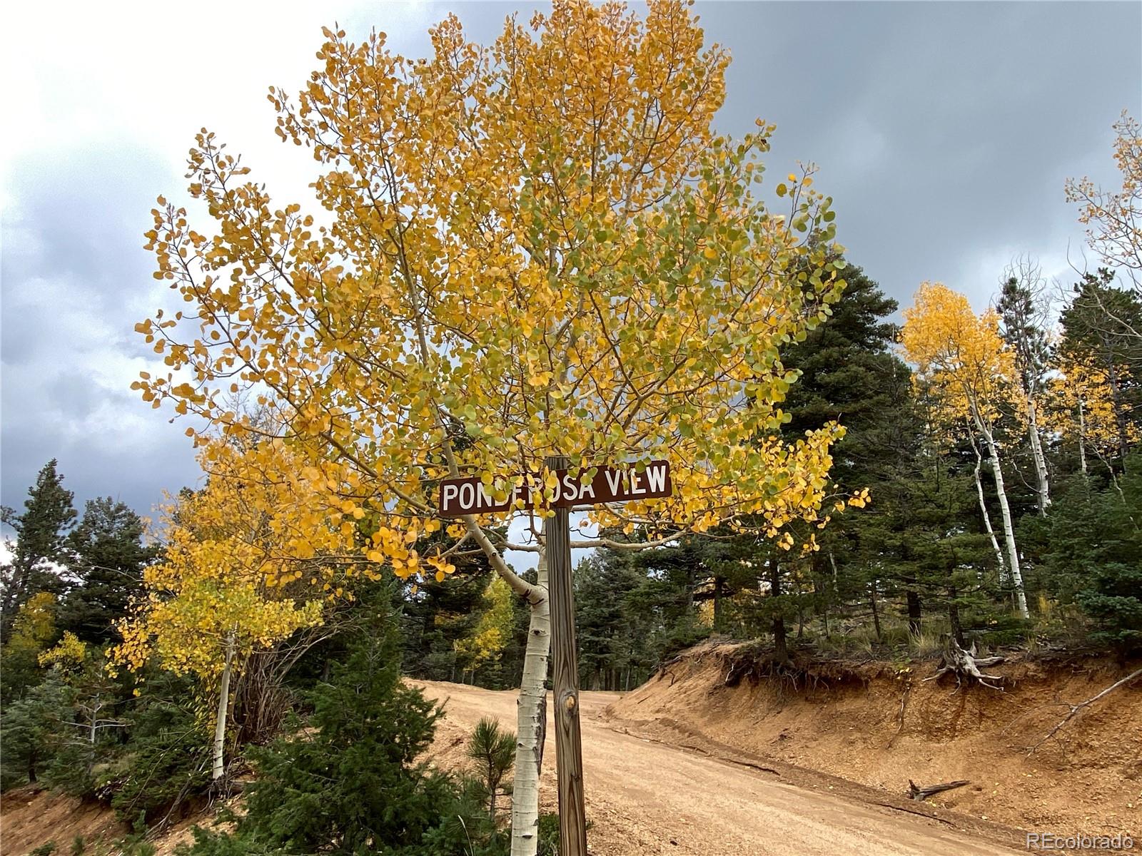 342 Ponderosa Road Manitou Springs, CO 80829 - Photo 18 of 24 a street sign is next to a road