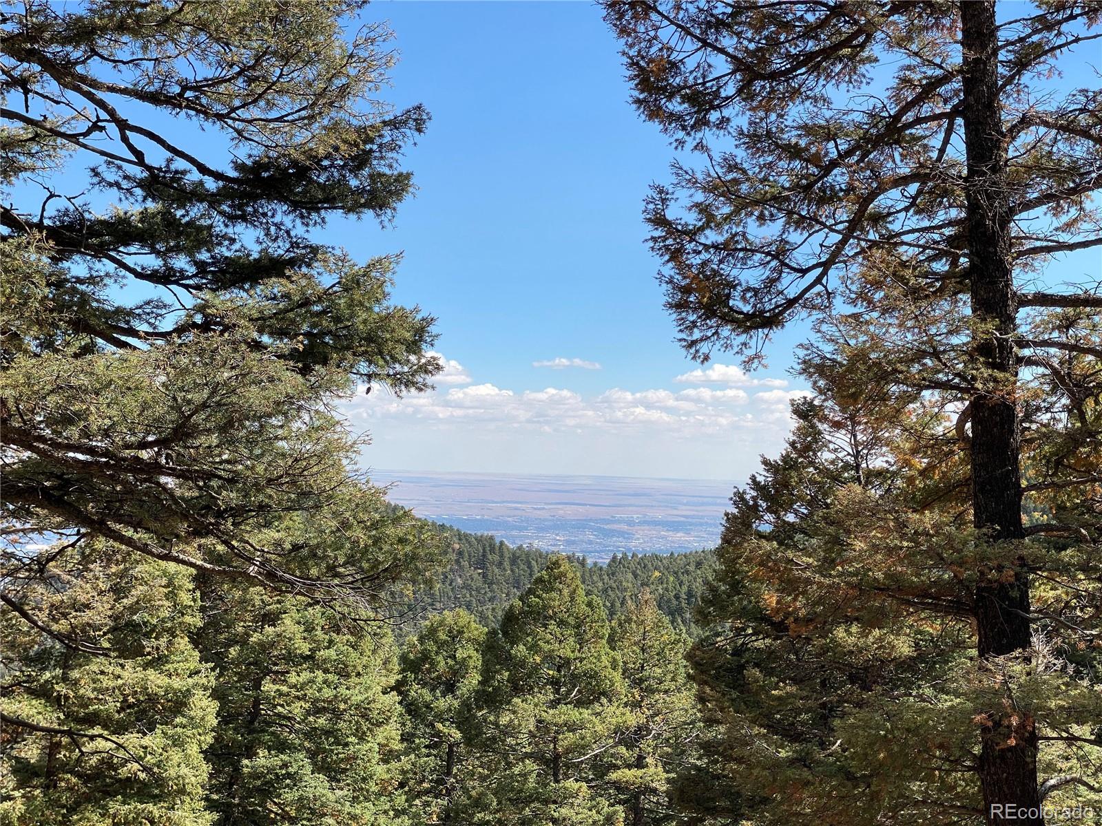 342 Ponderosa Road Manitou Springs, CO 80829 - Photo 3 of 24 a view of a tree with a yard