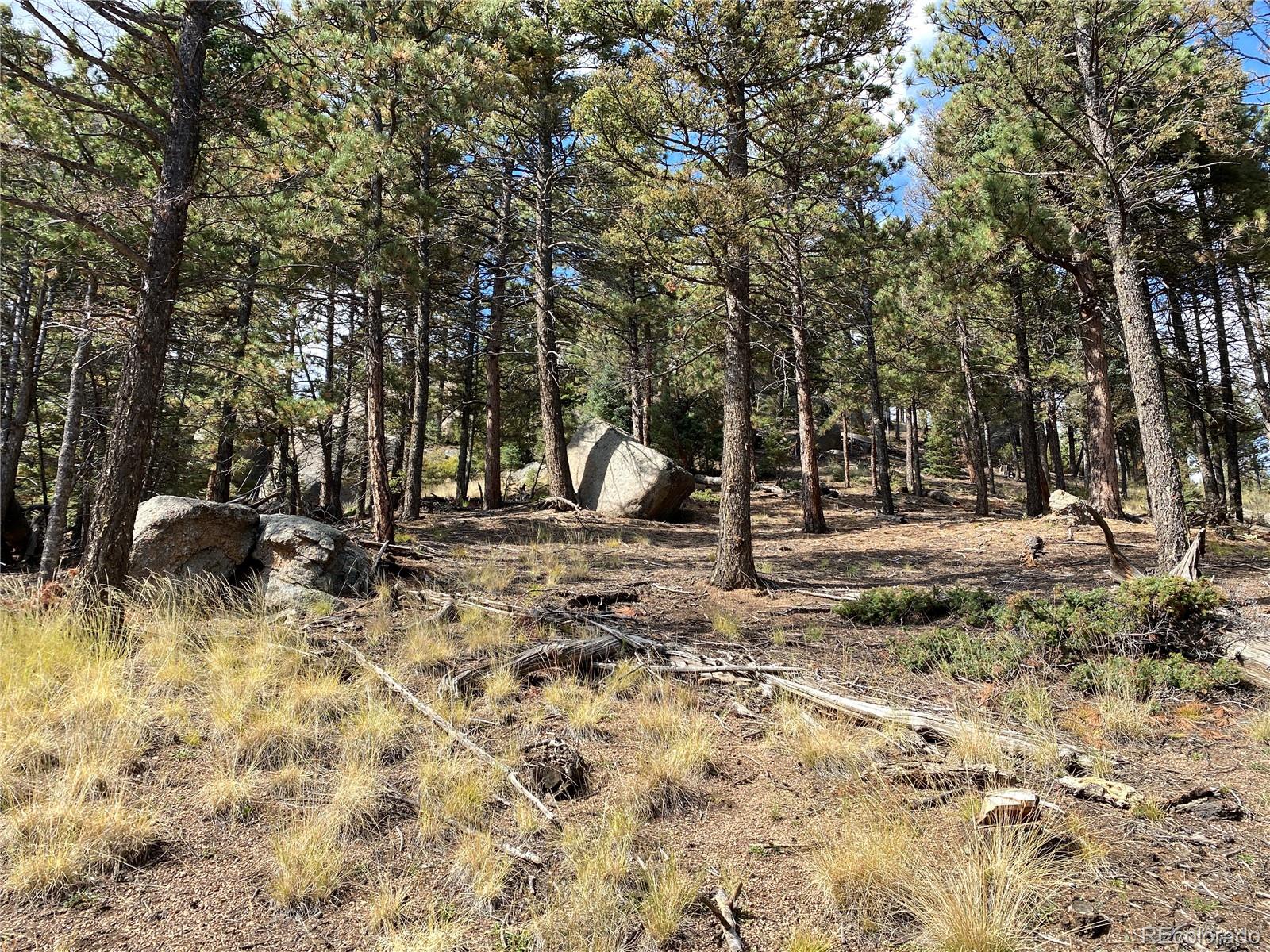 342 Ponderosa Road Manitou Springs, CO 80829 - Photo 5 of 24 a backyard of a house with lots of green space