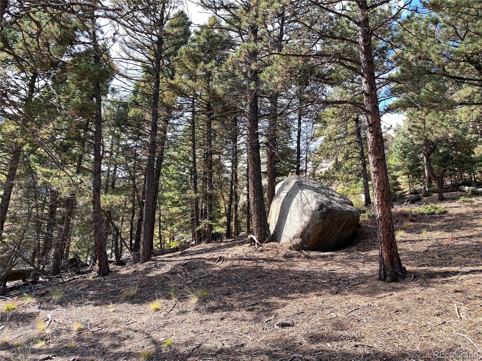 342 Ponderosa Road Manitou Springs, CO 80829 - Photo 7 of 24 a view of outdoor space and yard
