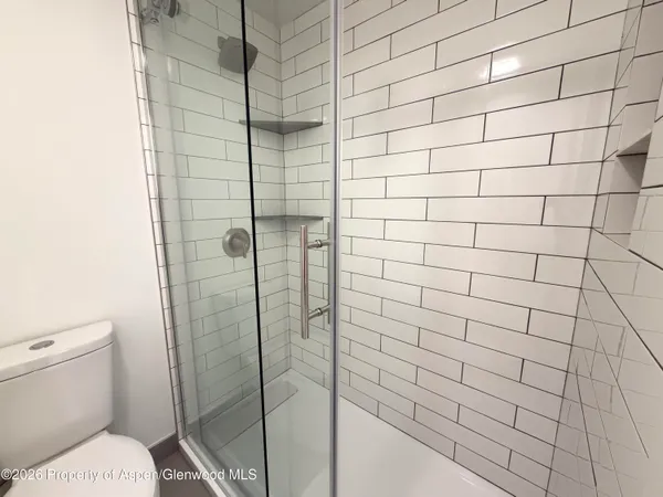 a bathroom with a shower and toilet