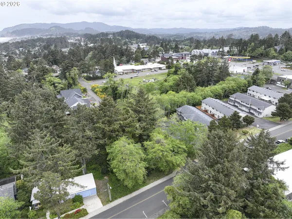 a view of city and mountain