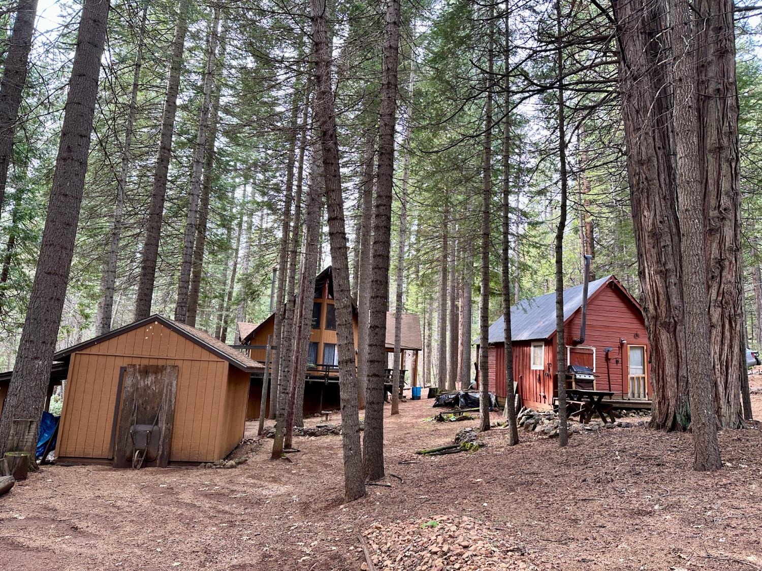 1197 McKay's Point Road Arnold, CA 95223 - Photo 2 of 25