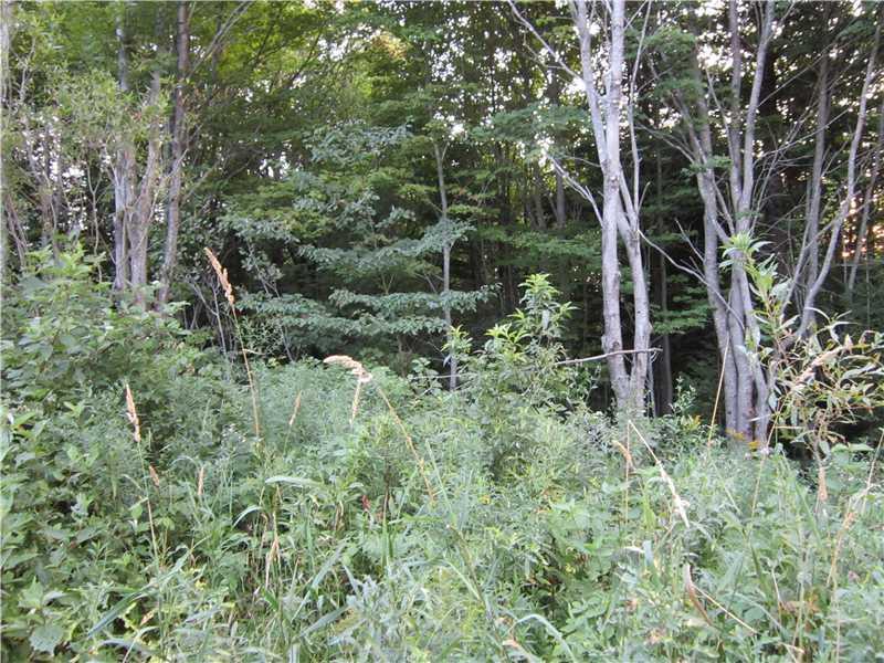 Lot 67.5 Rista Road New Sweden, ME 04762 - Photo 2 of 4 Other. Lot