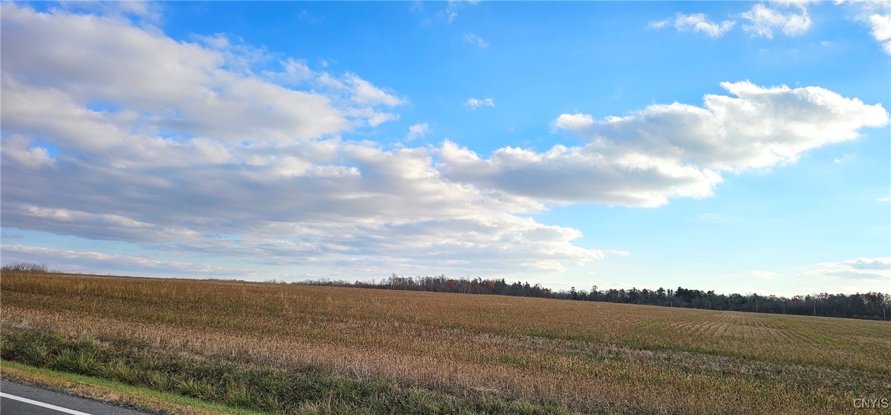 96 A State Route Romulus, NY 14541 - Photo 4 of 17