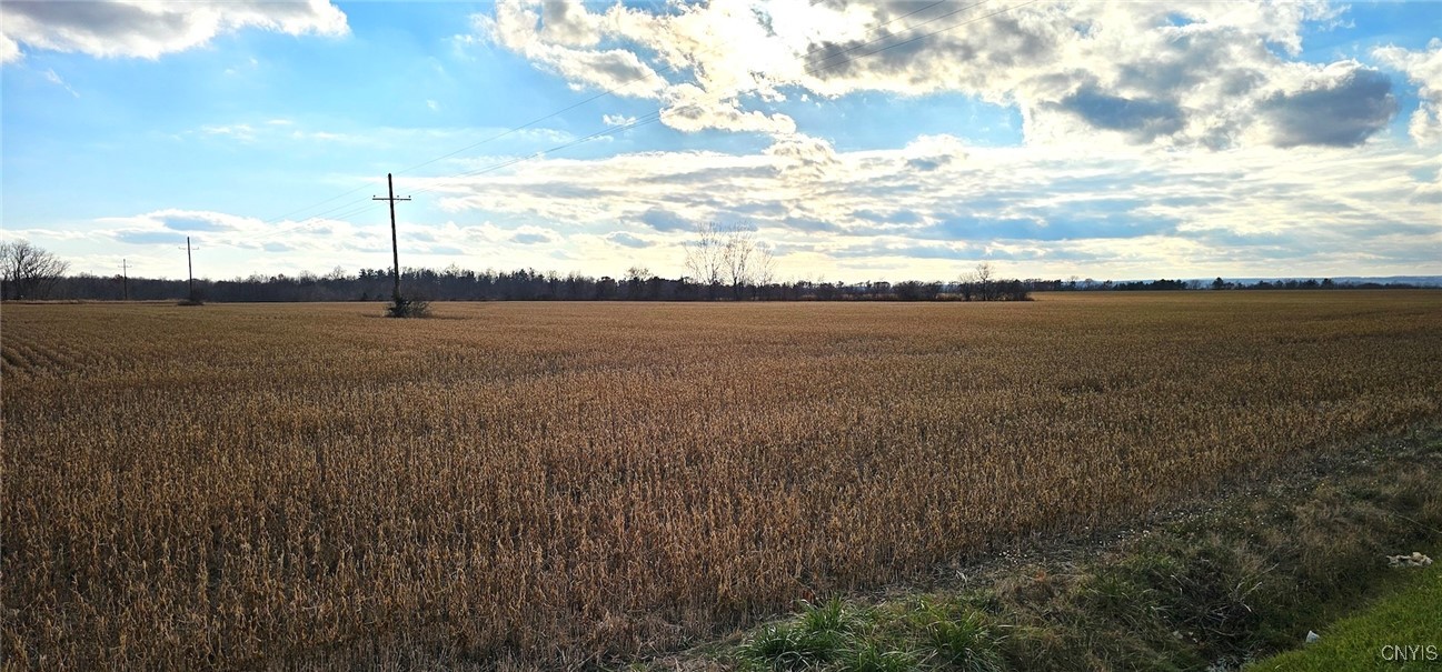 96 A State Route Romulus, NY 14541 - Photo 8 of 17