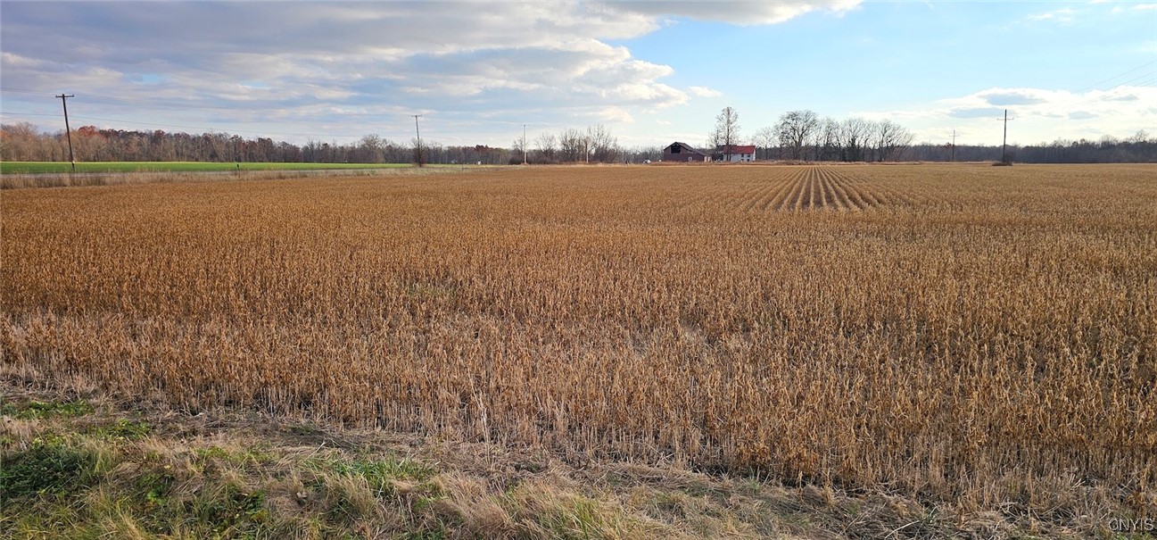 96 A State Route Romulus, NY 14541 - Photo 9 of 17