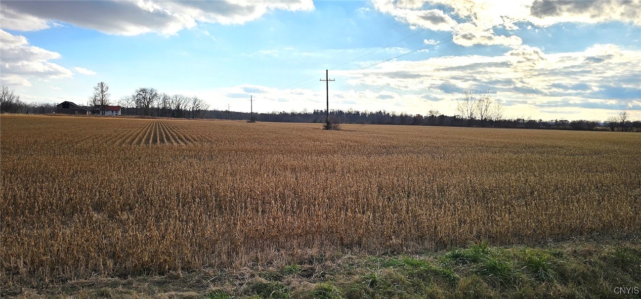 96 A State Route Romulus, NY 14541 - Photo 10 of 17