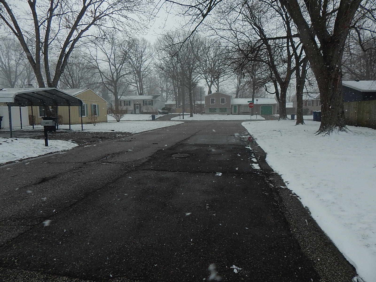 367 Chestnut Street Michigan City, IN 46360 - Photo 2 of 11 a street view with large trees