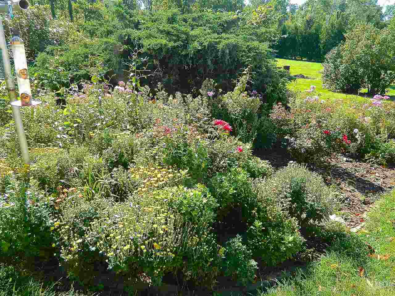 10723 State Rte 101 Monroeville, IN 46773 - Photo 27 of 27